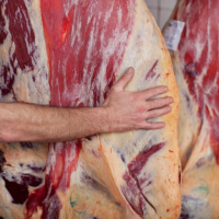 Frozen Meat / Frozen And Chilled Meat / Fresh Meat  From Norway