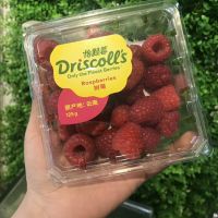 disposable plastic clear PET fruit tray From China