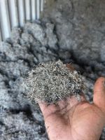 Steel scarp From Australia