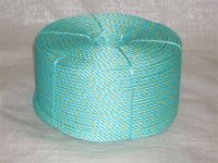 PP Danline Rope