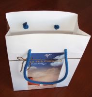 paper  bag