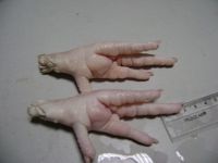 Processed Chicken Paw