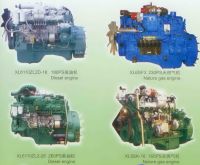 CNG/LNG ENGINE