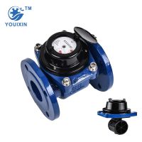 woltman type water meter