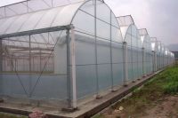 green house 