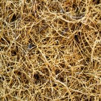 Coir Fibre From India