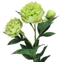 Artificial Flowers Peony In 3 Heads For Home/Hotel/Party