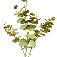 Artificial Eucalyptus Leaves for Garden Decoration