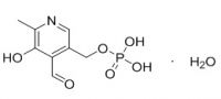 Pyridoxal-5-Phosphate