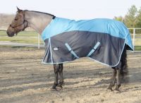  Turnout Blanket 600D, 210D Lining and 200grm Fill