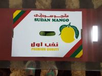 Fresh Mango - Alphonso |