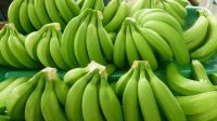 Green Bananas From Romania