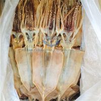 New Arrival Seafood Illex Squid Dry Squid