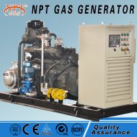 low cost 50kW natural gas biogas generator biomass LPG with CE