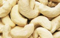 Cashew Nuts