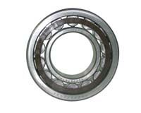 Cylindrical Roller Bearings