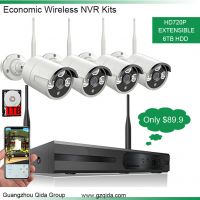 Wireless NVR Kit