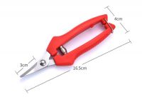 Pruning Shear