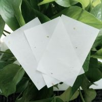 Shinning gold oil absorbing facial paper From China