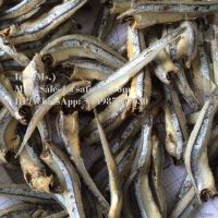 Dried Anchovy Fish
