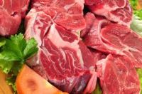 Cattle