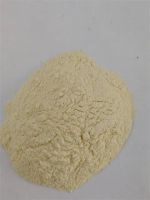 Dehydrated garlic powder From China