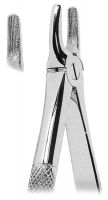 Extracting Forceps