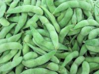 Frozen Soybeans