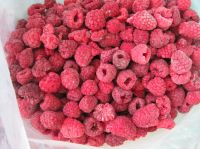 Frozen Raspberry