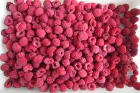 Frozen Raspberry