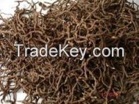 High Quality lpecac Roots