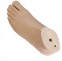 APLUS Co., Ltd. (AEKA Group) SACH