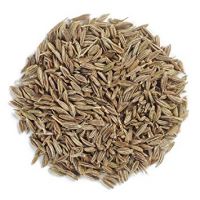 Cumin Seeds And Fennel Seeds, Organic Cumin Seeds, Cumin Seed