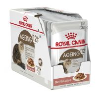 Royal Canin Maxi Starter, Mini Adult, Medium Adult, Dry Cats Food, Dry Dogs Food