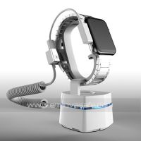 security display for smart watch