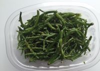 seaweed salicornia aparagus of the sea