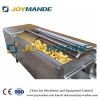 Vegetable Potato Carrot Brush Washing And Peeling Machine