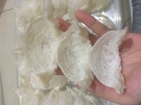 Clean Birdnest