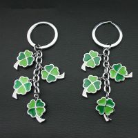 Wholesale Zinc Alloy Cute Carabiner Keychain Die Casting and Polishing Key Ring 