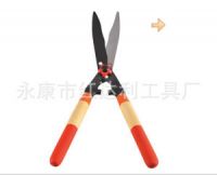 Hedge Shears