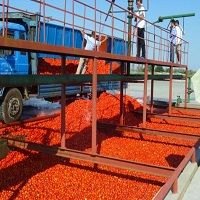 Complete tomato paste/sauce/ketchup/puree production line