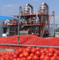 Complete tomato paste/sauce/ketchup/puree production line