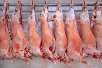 https://cn.tradekey.com/product_view/Best-Pprice-Buy-Halal-Frozen-Lamb-Sheep-Meat-10285997.html