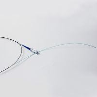 PTCA Balloon Dilatation Catheter