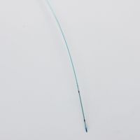 Advan PTCA Balloon Dilatation Catheter