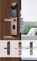 M2 Digital Lock (4 In 1