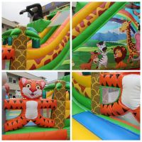 Inflatable Bouncy Castle Water Slide Inflatable