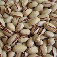 Pistachio Nuts