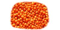 High Quality  RED FOOTBALL LENTILS