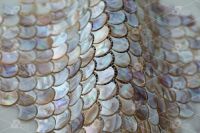 Kitchen Backsplash Tiles Scale Raw Mother Of Pearl Shell Mosaic Tiles From China